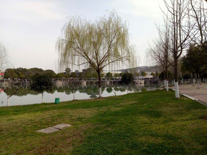 suncitygroup太阳集团
